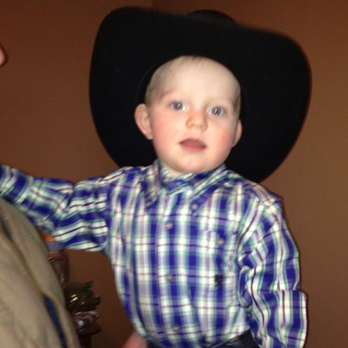 danf237's profile picture. 