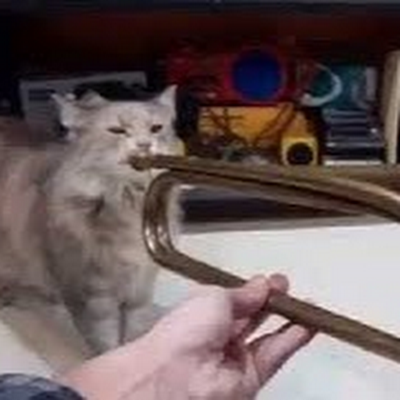 NOTHELPFUL80879's profile picture. 