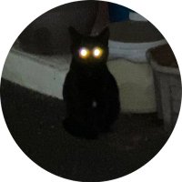 Ryu (@ryu_fannibal) 's Twitter Profile