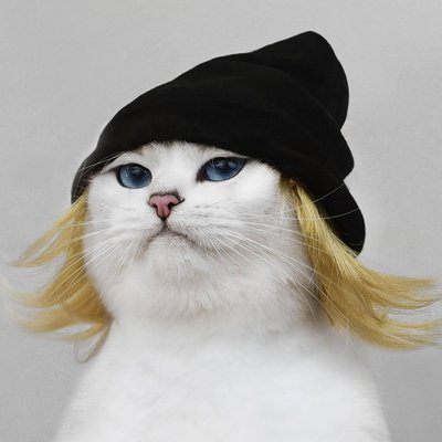 callmemiga's profile picture. 