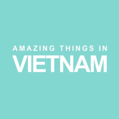 Amazing Things in Vietnam🟡