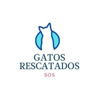 Rescatista de corazón ❤️
Colonia de más de 30 michis Hermosos 😻 #gatos #cat #rescatista #catslover