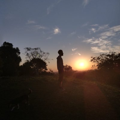 Viniciu16858708's profile picture. 