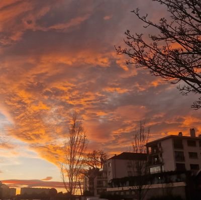 nourbdrd's profile picture. - From the river to the sea 🍉
- Flowers are blooming in antartica🧊
- Congo is bleeding 💎🩸
- ACAB. Muslima. AfroFeminist. ✊🏾
Now you know me 💜