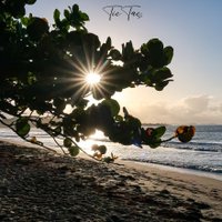 profdocedoc (@docvsm) 's Twitter Profile Photo