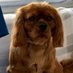 K Brack (@brackley_k) Twitter profile photo K Brack (@brackley_k) Twitter profile photo