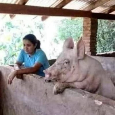 Licenciado en Ciencias Adjuntas y Teología Evangélica de América Central y Adyacencias. Padre de dos niñas, cristiano conservador, Derecha, y docente de música.