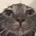 As F (@asf1892293) Twitter profile photo As F (@asf1892293) Twitter profile photo