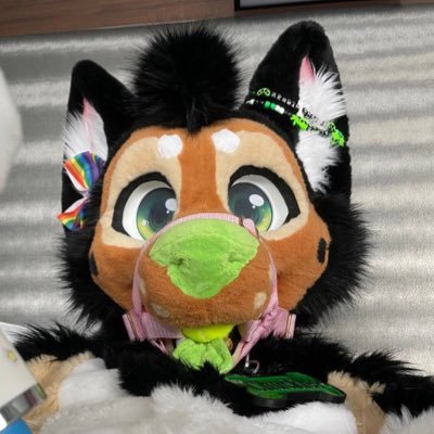 Chuckles Shep Profile