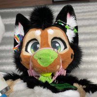 Chuckles Shep (@sockmutt) 's Twitter Profile
