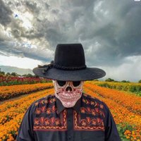 vicfox (@victor22811) 's Twitter Profile