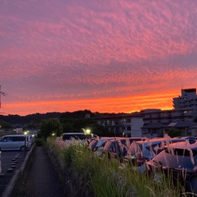 なんもいいことない。今年は少しでも良くなりたいね。