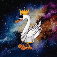 CryptoSwan! (@the_cryptoswan) 's Twitter Profile Photo