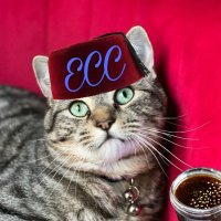 The Vicarage Cat(@TheVicarageCat) 's Twitter Profile Photo