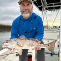 Luke Gulledge (@lukegulledge) 's Twitter Profile