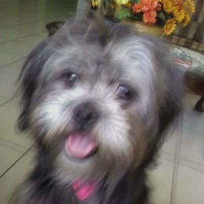 Aethersky64's profile picture. 