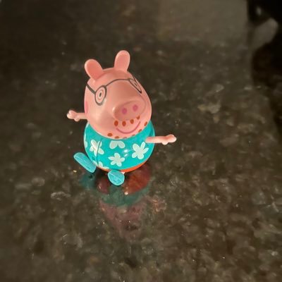 raopraveen's profile picture. 