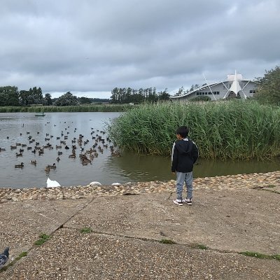 AnnaR1191's profile picture. dream big useless 
none of your business 🤣🤣