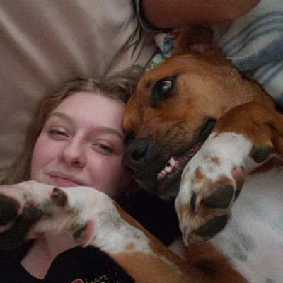 burgerwrapper's profile picture. huh