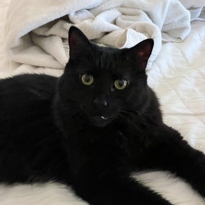 sc24664's profile picture. I’m awake