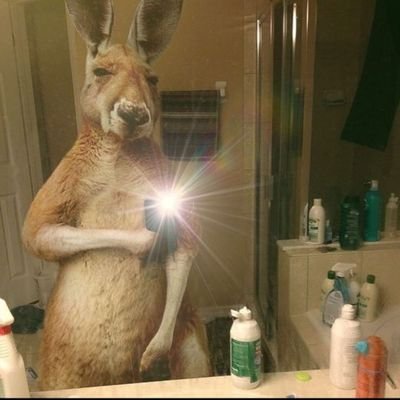 Flex10878's profile picture. 