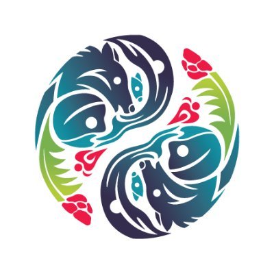 IYMP - Indigenous Youth Mentorship Program Profile