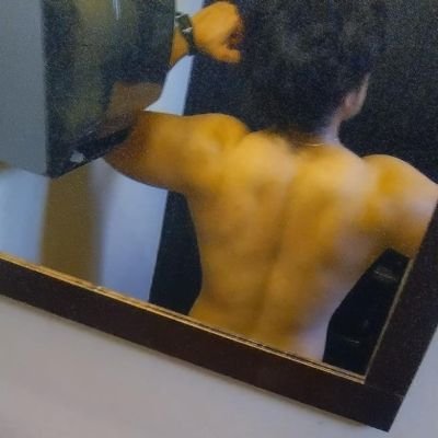 alsantiago83's profile picture. Gatos, política, comida (menos huevo con cebolla).