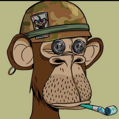 marjan536644388's profile picture. mario5