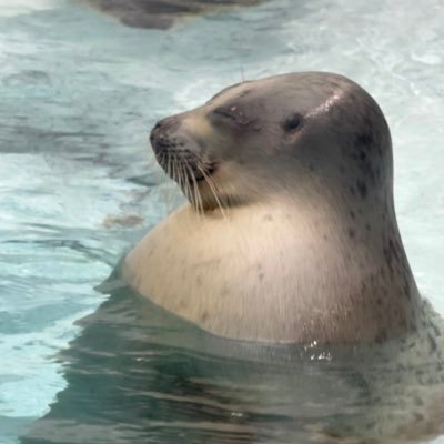 Nick86347107's profile picture. ジャンル問わずライブ中心です。（Chevon/BUMP/米津/YOASOBI/ずとまよ/Aooo/flood/ユニゾン/FRUITS ZIPPER/CUTIE STREET/SWEET STEADY/ミスチル/スピッツ/テナー/Greenday/Sum41/BMTH/EricClapton/初音ミク/他）