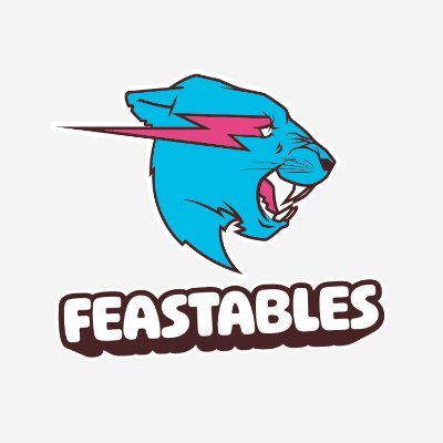Feastables Profile
