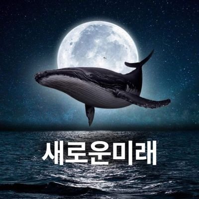 시커먼스 새로운미래