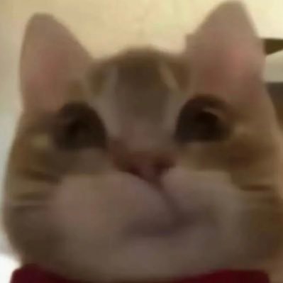 Zaki1837082's profile picture. 