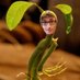 TuhlsteHufflepuff_DA ⚡️ (@thulsteshuffida) Twitter profile photo TuhlsteHufflepuff_DA ⚡️ (@thulsteshuffida) Twitter profile photo