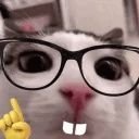 kozak_lul (@itskozak) 's Twitter Profile Photo kozak_lul (@itskozak) 's Twitter Profile Photo