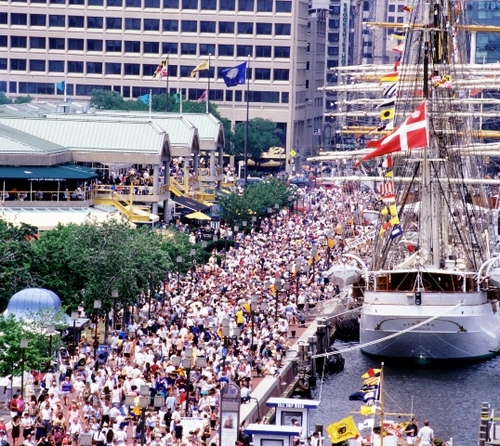 NNawrocki's profile picture. 