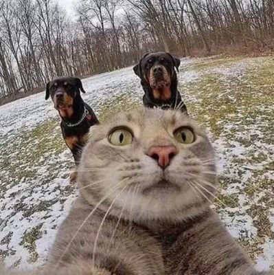 jiyue525565's profile picture. 