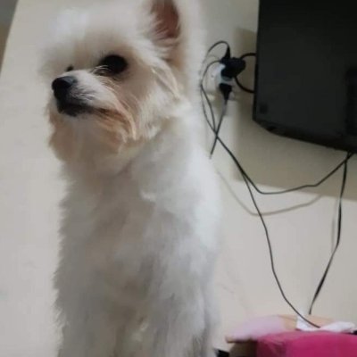 fitricici99750's profile picture. Pemula di
@cookiedotfun & @KaitoAI

@nexchain_ai