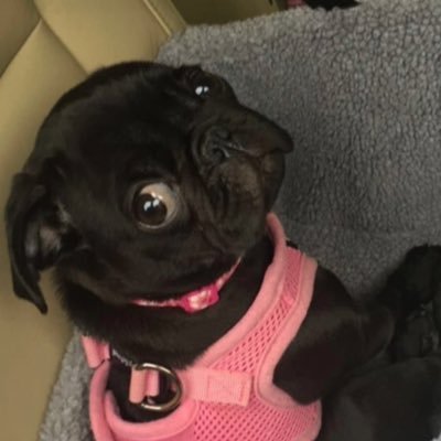 Ella_rubis's profile picture. 