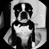 The Notorious C.O.P. (@kermit_cop) 's Twitter Profile
