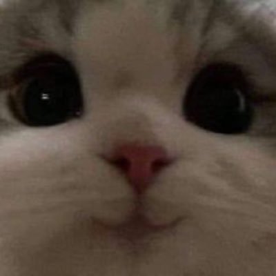 ononononononos's profile picture. i am 21 yo! any pronouns idfk, don’t accept requests, im perpetually down bad