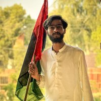 Syed Ayan ul Hassan(@SyedAyanulhassa) 's Twitter Profile Photo