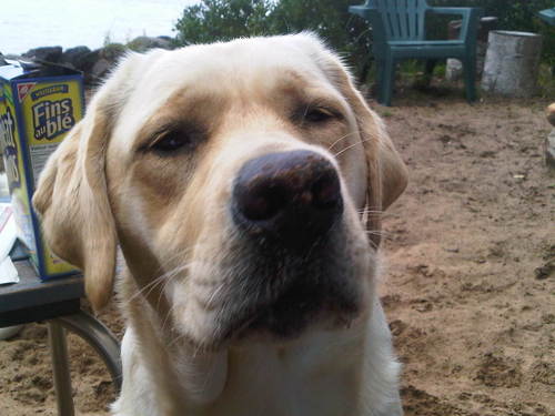 will7999's profile picture. 