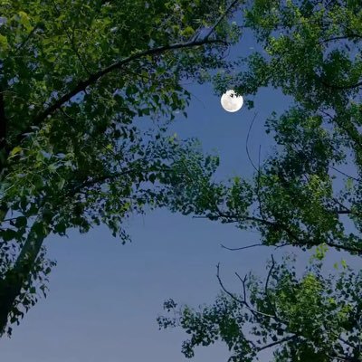 Lerdio1010's profile picture. 