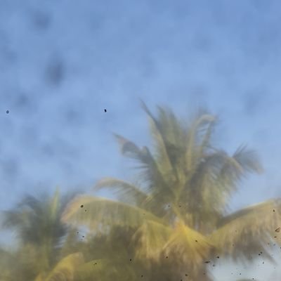 kumar327500's profile picture. 