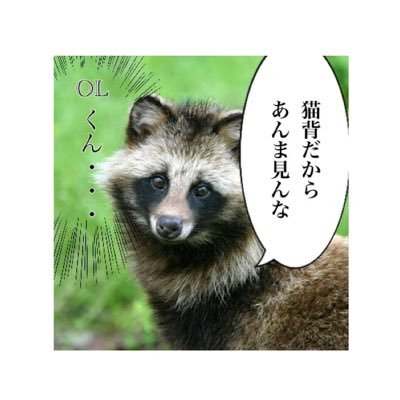 ngunbakougyo's profile picture. 今宵もメシが美味すぎる