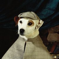 Michael β€οΈ π§‘ π π π π ποΈπ²ππ³ βοΈβοΈβοΈ (@_caswel) 's Twitter Profile