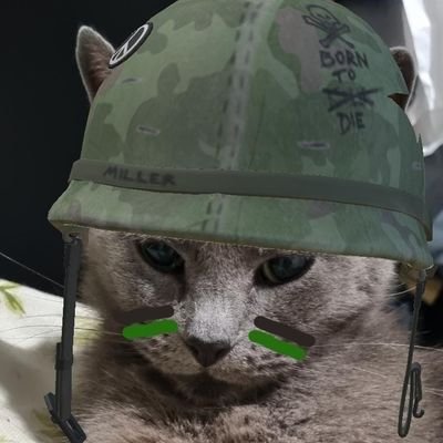 lu159327's profile picture. Dios, Patria y Familia. Honor y Gloria.
Católico.