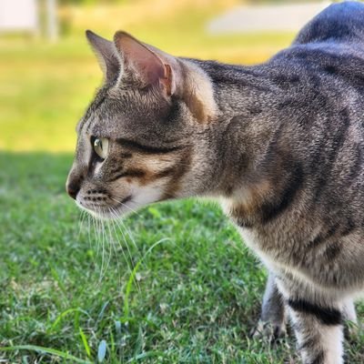 mariask__'s profile picture. Came for the shits, stayed for the giggles