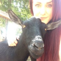 LIGHTUPTHOSESHADOWS (@rkay1111) 's Twitter Profile