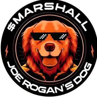 Marshall_coin Profile Picture